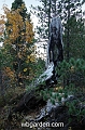 wbgarden alps 94